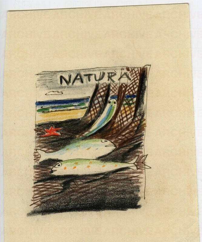 Studio per copertina della rivista “Natura”